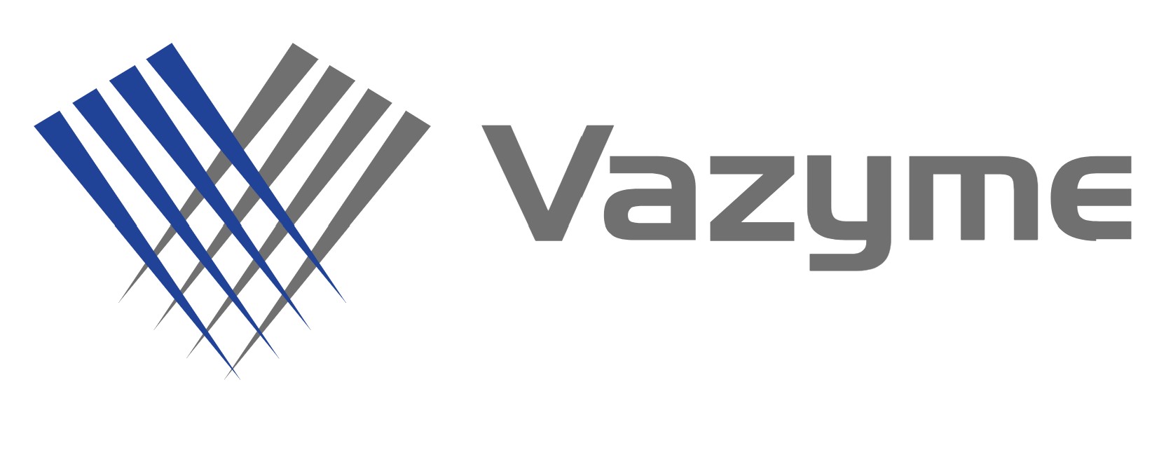 Vazyme