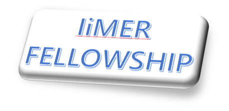 iimer fellowship